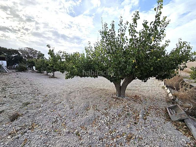 Foto 2e274e76-8114-4e21-892e-053c65711ef1. Terrain résidentiel dans Los Franceses - La Vega Chiclana de la Frontera
