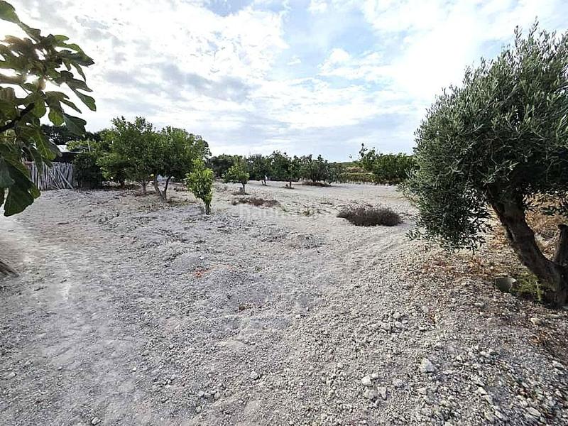 Foto 3b1aaee6-22f4-4ae9-ab83-ba132a2d87cc. Terrain résidentiel dans Los Franceses - La Vega Chiclana de la Frontera