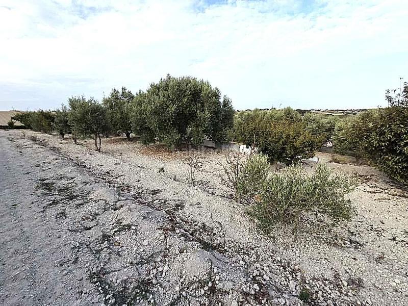 Foto 5ceb1fb2-8d9c-4310-a7cd-bf951a62b5f6. Terrain résidentiel dans Los Franceses - La Vega Chiclana de la Frontera