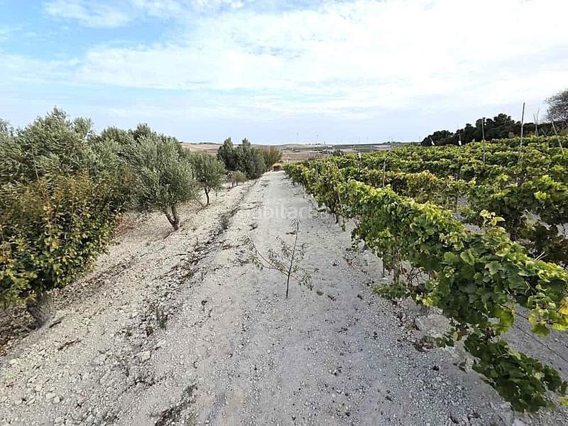 Foto 82a946f1-f679-437d-9cce-c41df598c59f. Terrain résidentiel dans Los Franceses - La Vega Chiclana de la Frontera