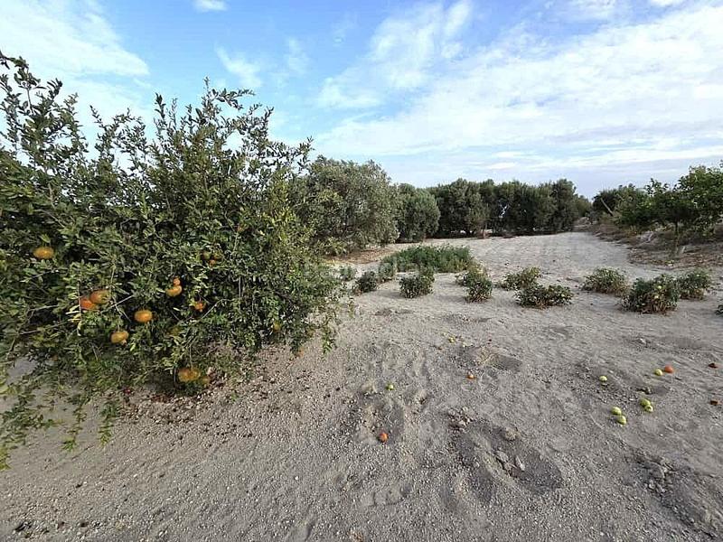 Foto b9adf9a0-4351-44ad-82d2-db0a4eb62ea1. Terrain résidentiel dans Los Franceses - La Vega Chiclana de la Frontera