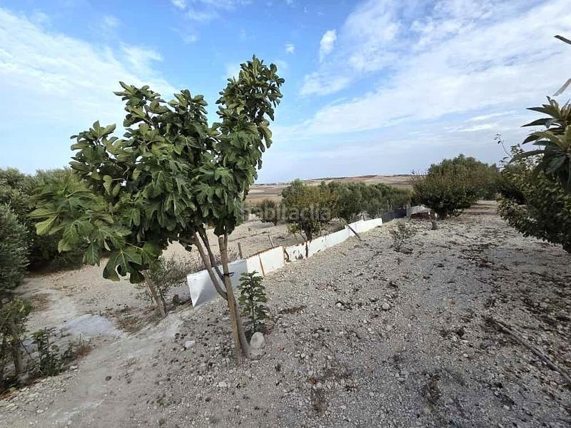 Foto e9642a3b-24ae-44fa-86ea-92ca06afa587. Terrain résidentiel dans Los Franceses - La Vega Chiclana de la Frontera
