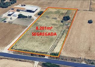 Terreno residenziale in Pelagatos - Pago del Humo. Parcela segregada asfaltada hasta la puerta en pago del humo con