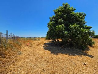 Terreny residencial a Pelagatos - Pago del Humo