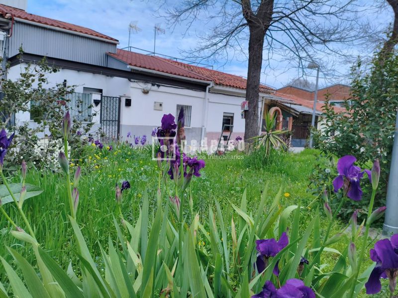 Foto 170e871f-c3e8-4f83-b3a4-c1ffe9f09af2. Casa amb calefacció a Puerta Bonita Madrid