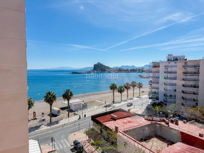 Foto cefba955-4d87-481e-a3b8-5a2c6c9337c3. Pis a Delicias Águilas