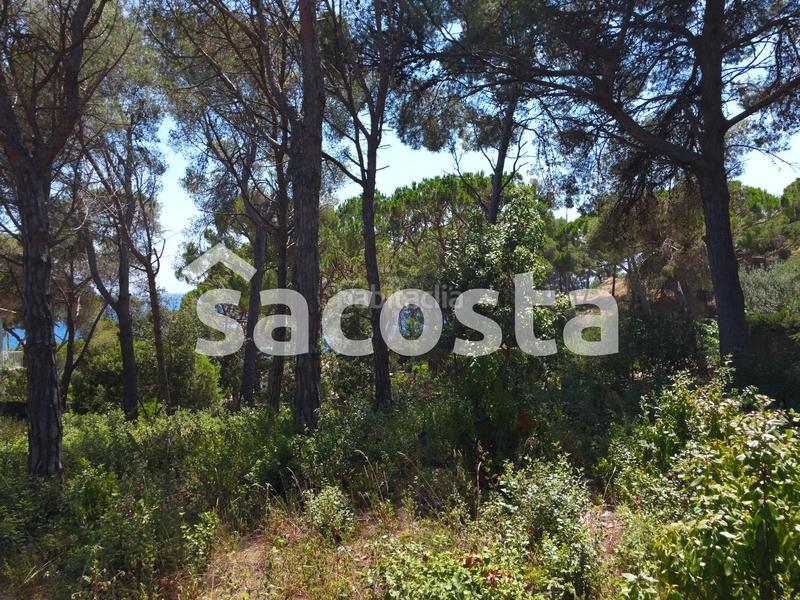 Foto 3a4e8008-4d04-41de-90d5-a1313319a917. Terreno residenziale in Montgoda Lloret de Mar