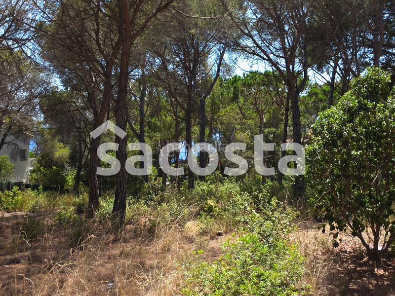 Foto 86419f67-537d-4fae-b389-fd74311843e5. Terreno residenziale in Montgoda Lloret de Mar