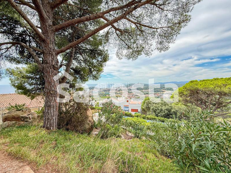 Foto 36aa039f-f849-4be1-bb78-21a09f8bf80a. Maison avec chauffage parking piscine dans Roca Grossa Lloret de Mar