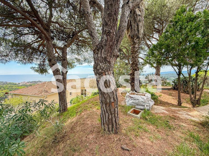 Foto c31a894f-829a-4293-bb75-9c2d07c78818. Maison avec chauffage parking piscine dans Roca Grossa Lloret de Mar