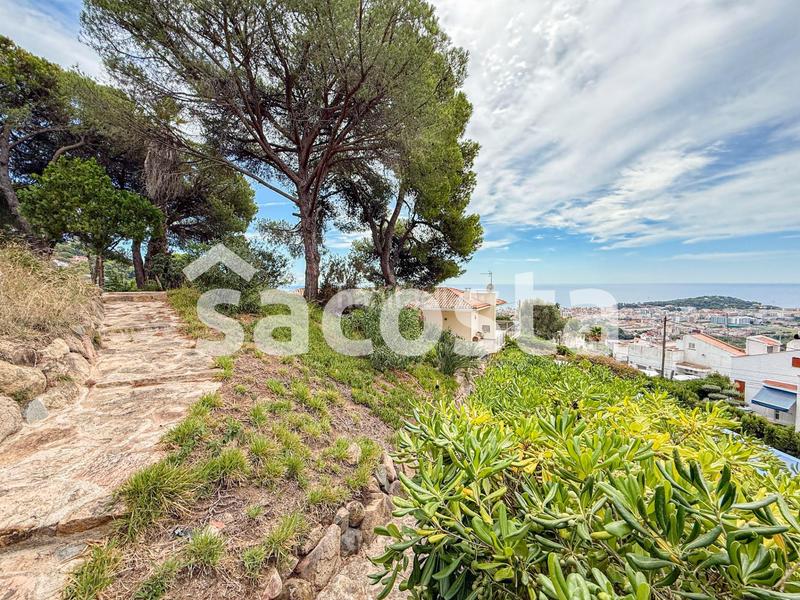 Foto fa4f3200-382f-4bc4-a466-d8102f077711. Maison avec chauffage parking piscine dans Roca Grossa Lloret de Mar