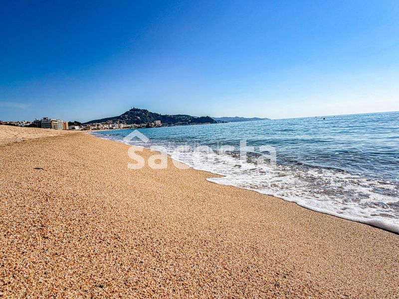 Foto 0823b67e-1060-4b62-aab4-580306d496a3. Estudi amb calefacció piscina a Els Pins Blanes