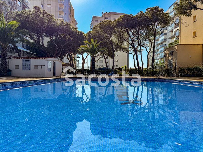 Foto 1e3e72b8-7124-479c-ad95-c651a79a1653. Estudi amb calefacció piscina a Els Pins Blanes