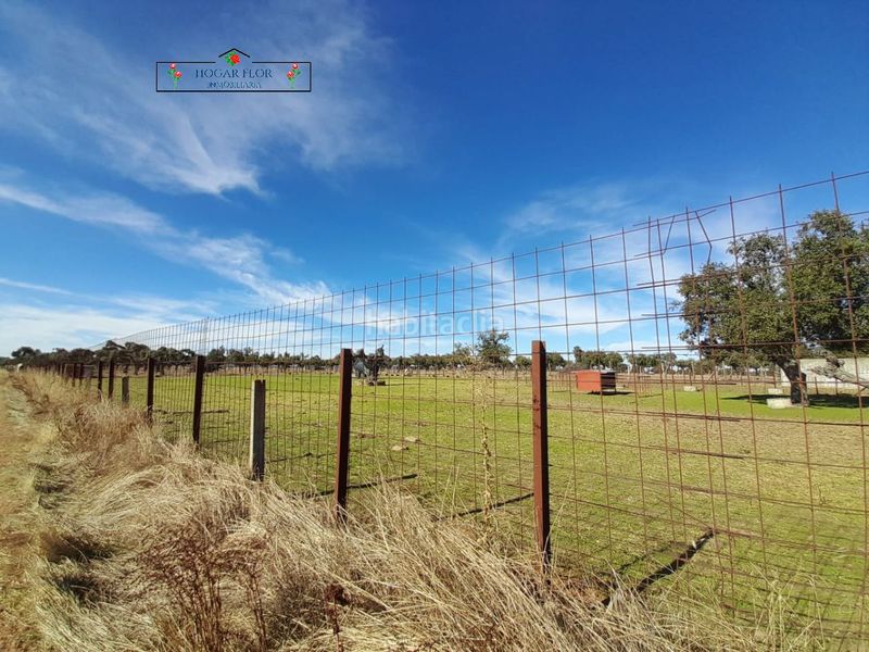 Foto 14ff2563-d4a2-43c8-b0d9-0a425aa5af92. Masia a Carrascal del Obispo