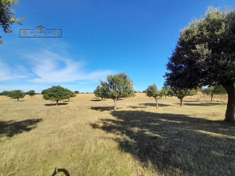 Foto 1d339031-e101-4378-90ec-e075267a4c8d. Masia a Carrascal del Obispo