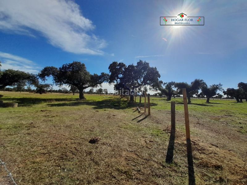 Foto 21d0e712-7844-4707-b969-37ea4be5f793. Masia a Carrascal del Obispo