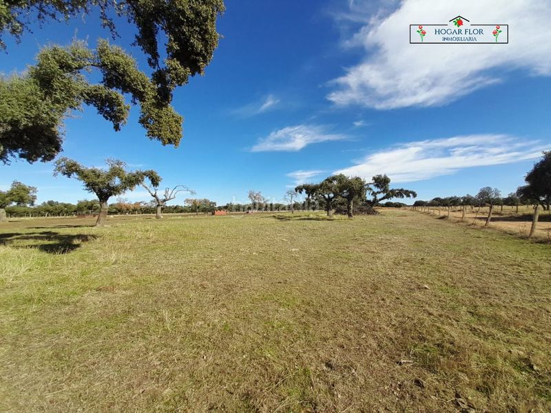 Foto 2900a4f2-c73b-4b7f-b67d-ffe01b365b66. Masia a Carrascal del Obispo