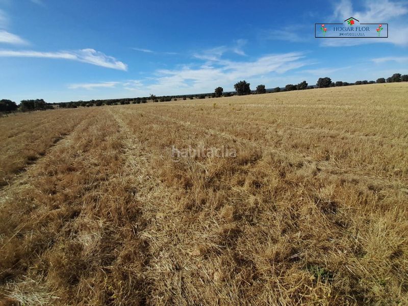 Foto 42a4512a-b450-4b5f-b443-a1d14ab109ec. Masia a Carrascal del Obispo