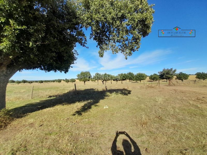 Foto 42a645a3-40c4-44a1-a87a-9605d212cd10. Masia a Carrascal del Obispo