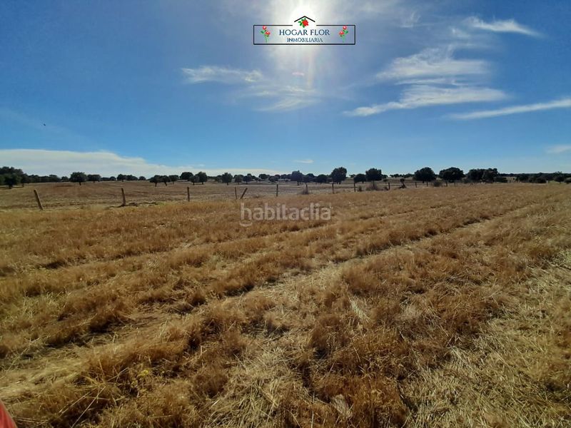 Foto 505e8260-a51b-42ce-a552-206680fbc7c8. Masia a Carrascal del Obispo