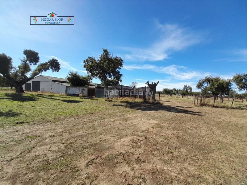 Foto 5e9129a8-f2fc-4f44-a1fb-6f87b5302d46. Masia a Carrascal del Obispo