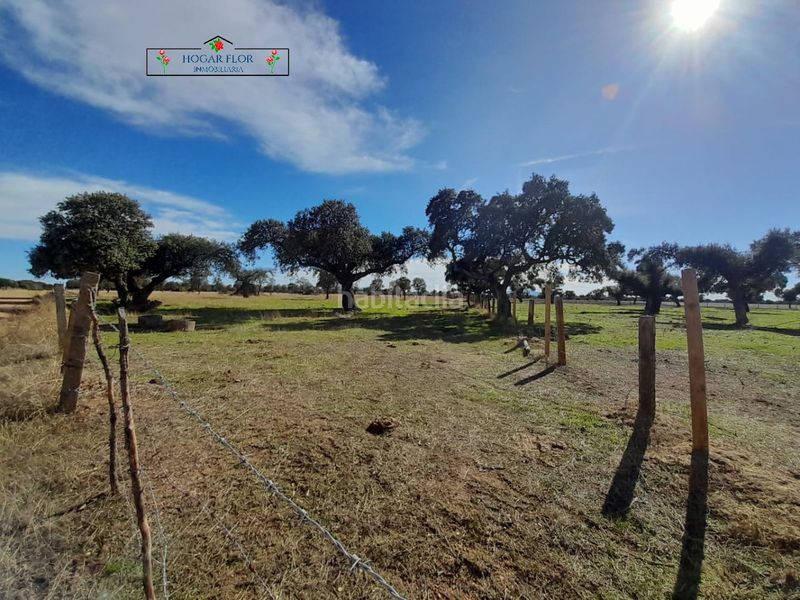 Foto 614e1028-ee5f-464c-a7a2-89452512634f. Masia a Carrascal del Obispo