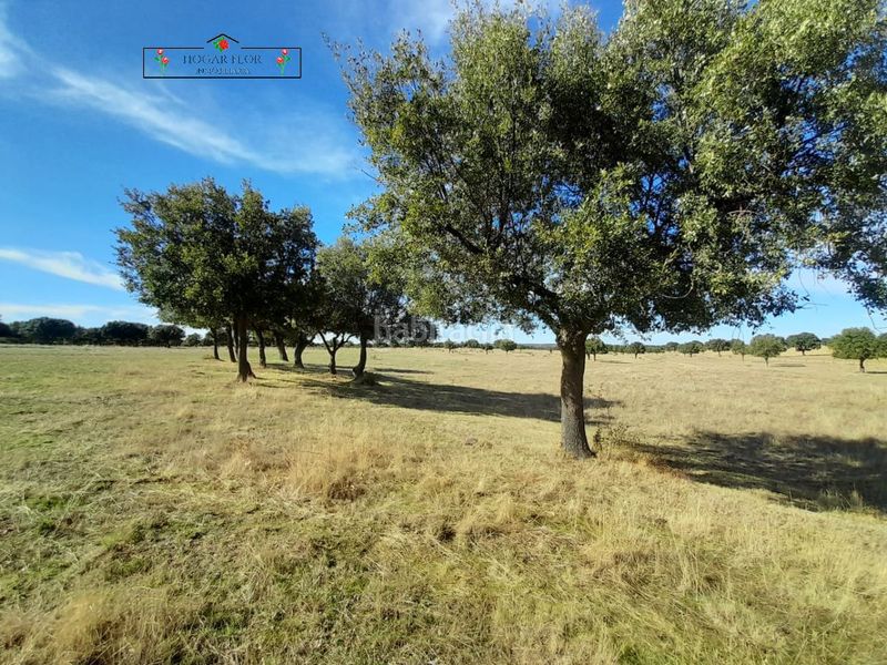 Foto 61f0c1d1-715f-4e19-89a8-c196fe0cfa14. Masia a Carrascal del Obispo