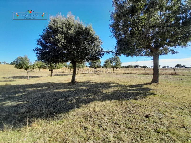 Foto 6c361c7f-e0eb-4278-b072-5f344f4666bc. Masia a Carrascal del Obispo