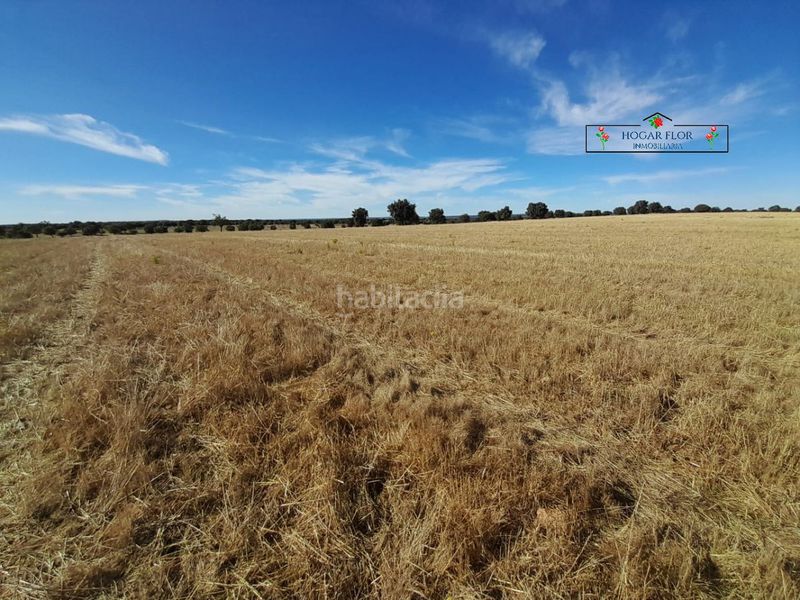 Foto 6e3632ac-b1fc-4c52-b8ae-11bb53f544bf. Masia a Carrascal del Obispo