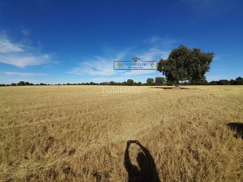 Foto 6ff2ee1b-cc8d-4eff-9c10-a36af17f4208. Masia a Carrascal del Obispo