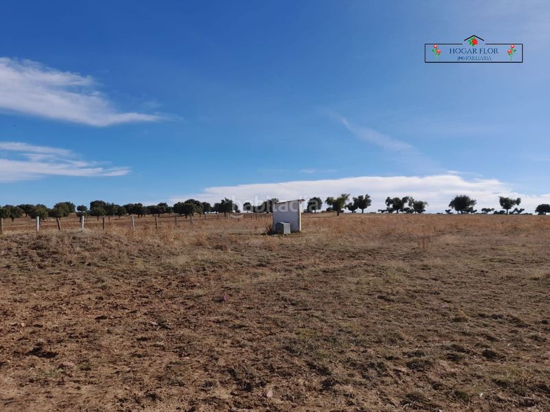 Foto 71a41a4e-6fb3-4271-ac5e-add3d1a13348. Masia a Carrascal del Obispo