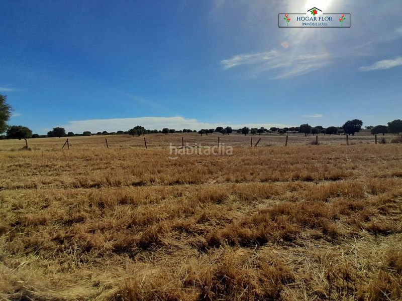 Foto 87619872-284c-4d25-af21-0de13974fc3c. Masia a Carrascal del Obispo