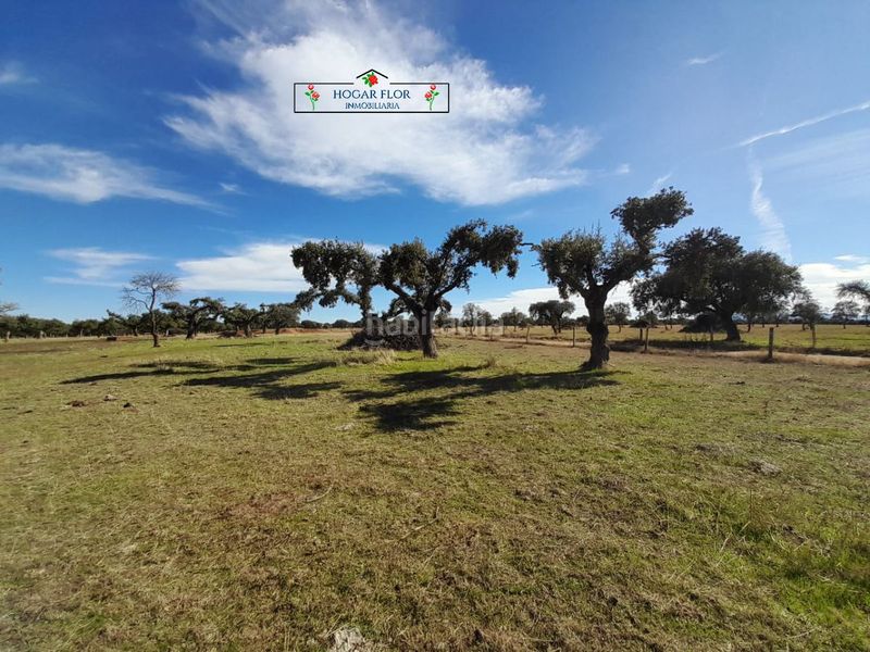 Foto 8b740416-f190-482a-afea-77dd5e8f1bb8. Masia a Carrascal del Obispo