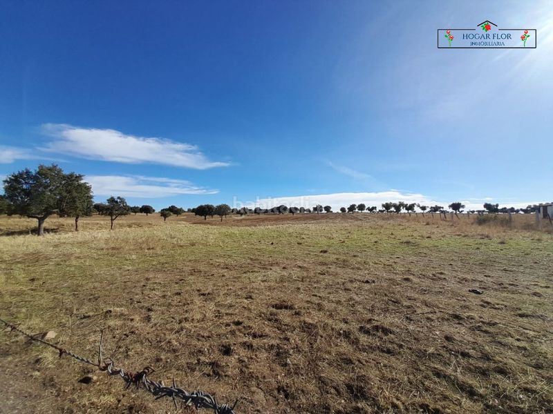 Foto c68a7097-a8b2-4158-adff-5e9ec297f037. Masia a Carrascal del Obispo