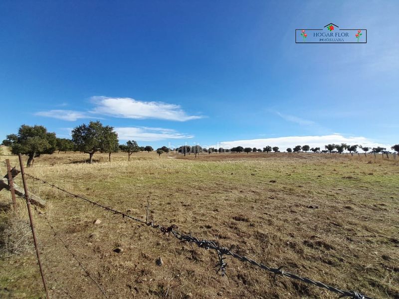 Foto d604fdf4-7368-411f-b85c-37212b802824. Masia a Carrascal del Obispo