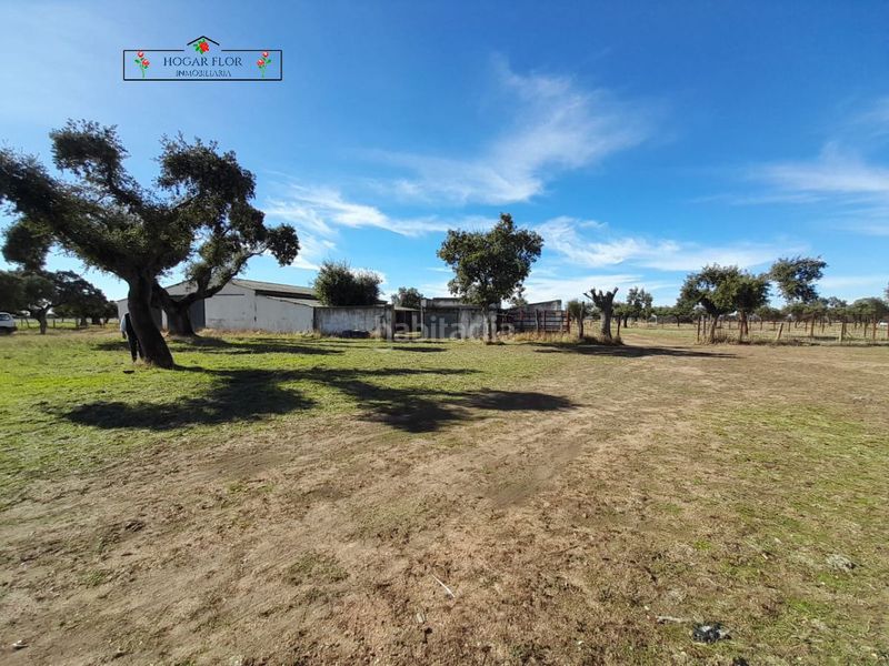 Foto eb3133d4-8a0a-41cd-8ce3-0655c0e28801. Masia a Carrascal del Obispo