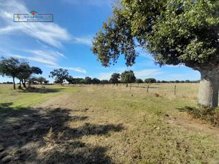Mas à Carrascal del Obispo. Finca rúst. en venta en carrascal del obispo.