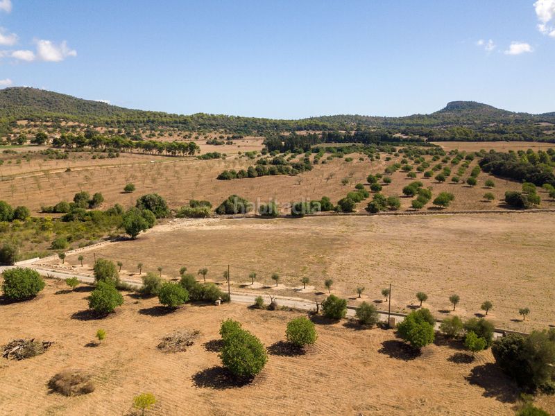 Foto 08d54840-67df-4266-baec-df7a9a9f7e5f. Finca rústica a son vives a Sant Llorenç des Cardassar