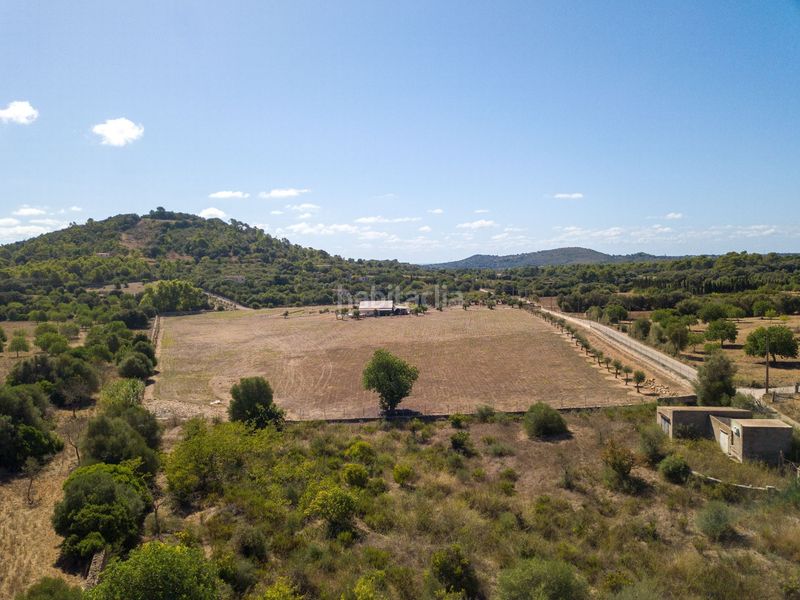 Foto 3088c078-3341-43a3-b093-933207518093. Finca rústica a son vives a Sant Llorenç des Cardassar