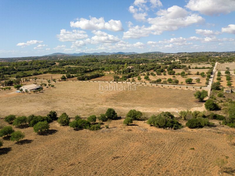 Foto 4cd06142-eb8b-431e-ba45-92d62b53d32e. Finca rústica a son vives a Sant Llorenç des Cardassar