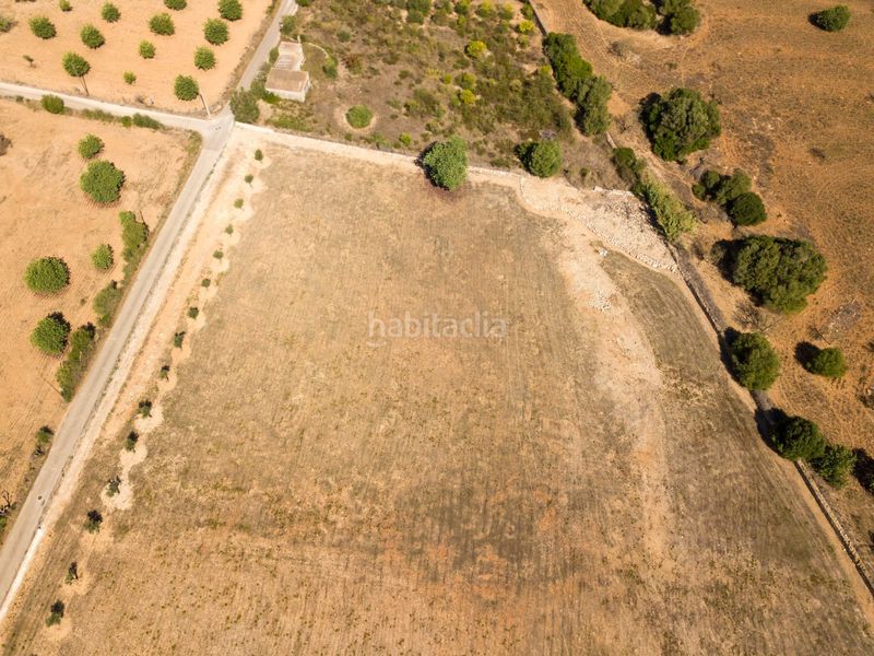 Foto 5ada748a-cc4d-419a-9400-db63b2761f09. Finca rústica a son vives a Sant Llorenç des Cardassar