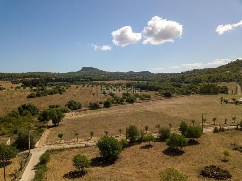 Foto 6f69bdba-f7f9-4d86-9230-93e16b69853b. Finca rústica a son vives a Sant Llorenç des Cardassar