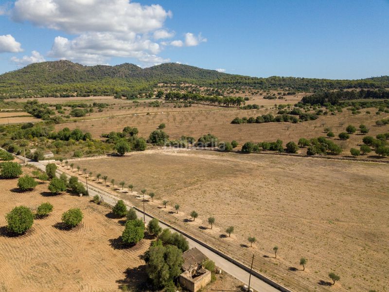 Foto 7778d20d-9436-4d1a-9346-aef7f0e72f50. Finca rústica a son vives a Sant Llorenç des Cardassar