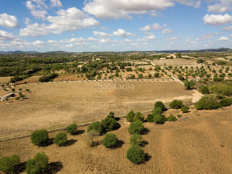 Foto 7ae15ce7-0217-4100-b2f0-935d86f8ccc9. Finca rústica a son vives a Sant Llorenç des Cardassar