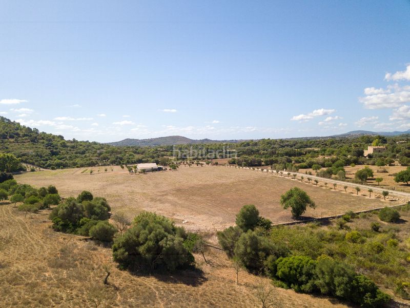 Foto 9b1cb8bb-e866-4163-8445-9e7be1a9d6a9. Finca rústica a son vives a Sant Llorenç des Cardassar