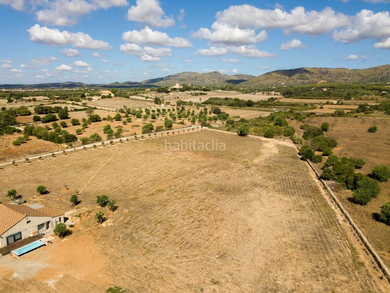 Foto a5a777a7-1f87-4cf9-a33e-a3fa4d2d80e5. Finca rústica a son vives a Sant Llorenç des Cardassar