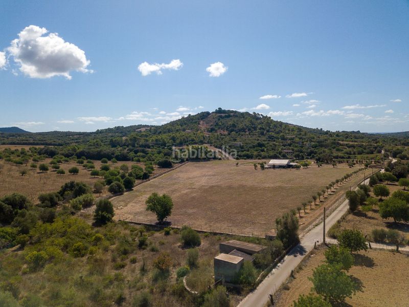 Foto c3bc3e76-b0b8-4266-96c6-3ed2d5a2a1fb. Finca rústica a son vives a Sant Llorenç des Cardassar