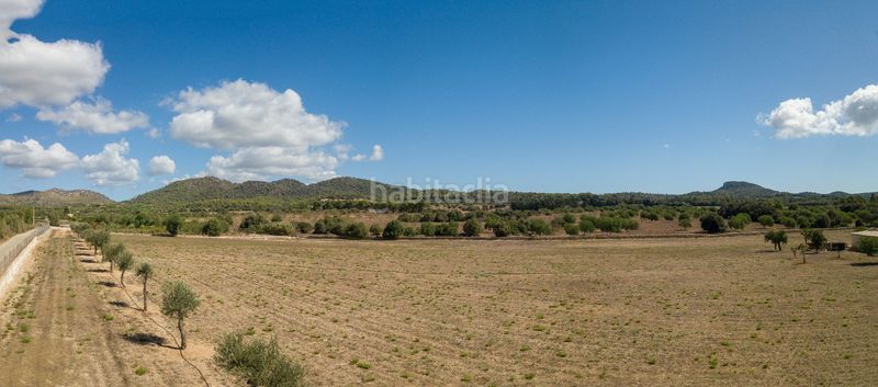 Foto f3010306-f2aa-4b0e-a61e-b62cefe3aad9. Finca rústica a son vives a Sant Llorenç des Cardassar