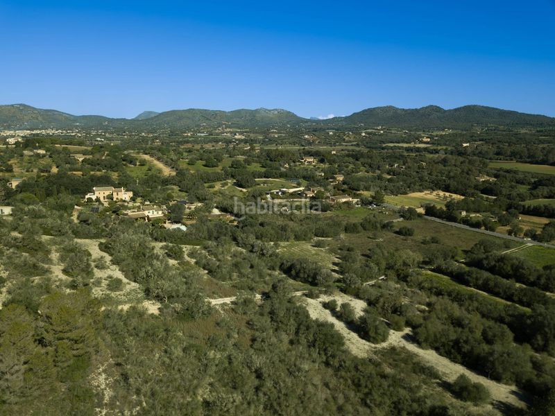 Foto bb2b60ee-fec7-40c2-a7bd-5133a86eeb88. Finca rústica en ma-4020 en Sant Llorenç des Cardassar