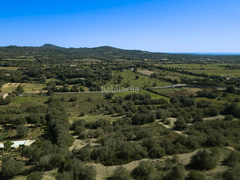 Foto fbb4fc0a-440e-4332-872a-dda1c763345a. Finca rústica en ma-4020 en Sant Llorenç des Cardassar